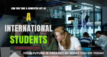 Taking a Semester Break: International Student Options