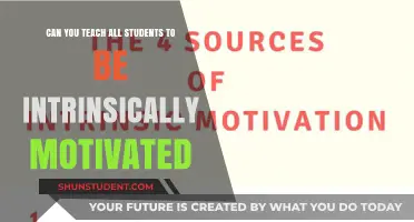 Unlocking Intrinsic Motivation: Strategies for Engaging Every Student