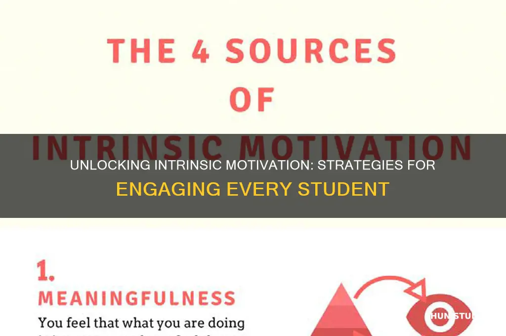 can you teach all students to be intrinsically motivated