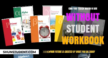 Teaching Math-U-See Effectively Without the Student Workbook: Tips and Strategies