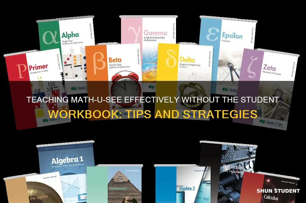 can you teach math u see without student workbook