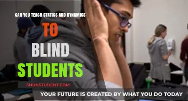 Teaching Statics and Dynamics to Blind Students: Accessible Learning Strategies