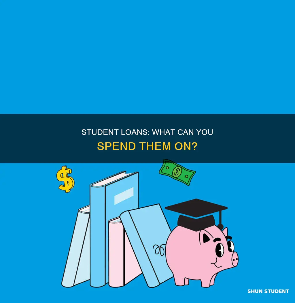 can you use a student loan to pay for anything