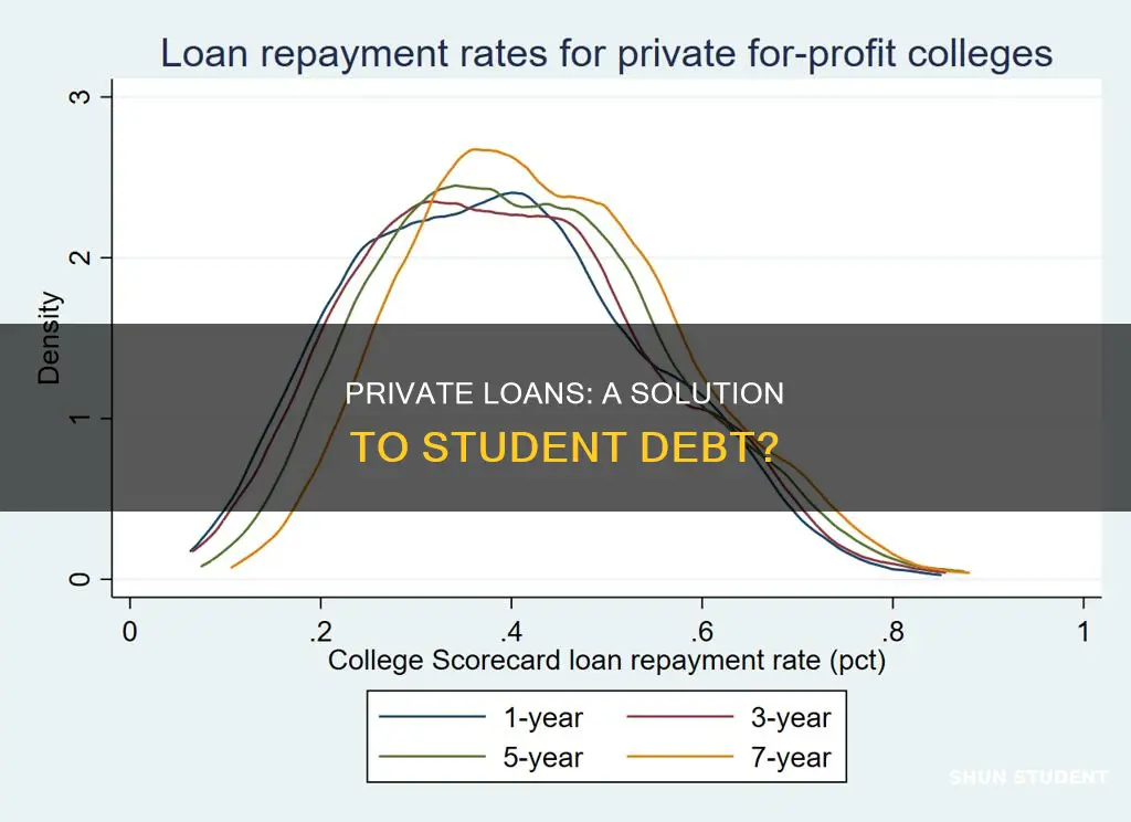 can you use private loan to pay student debt