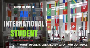 How Stash Empowers International Students' Financial Goals