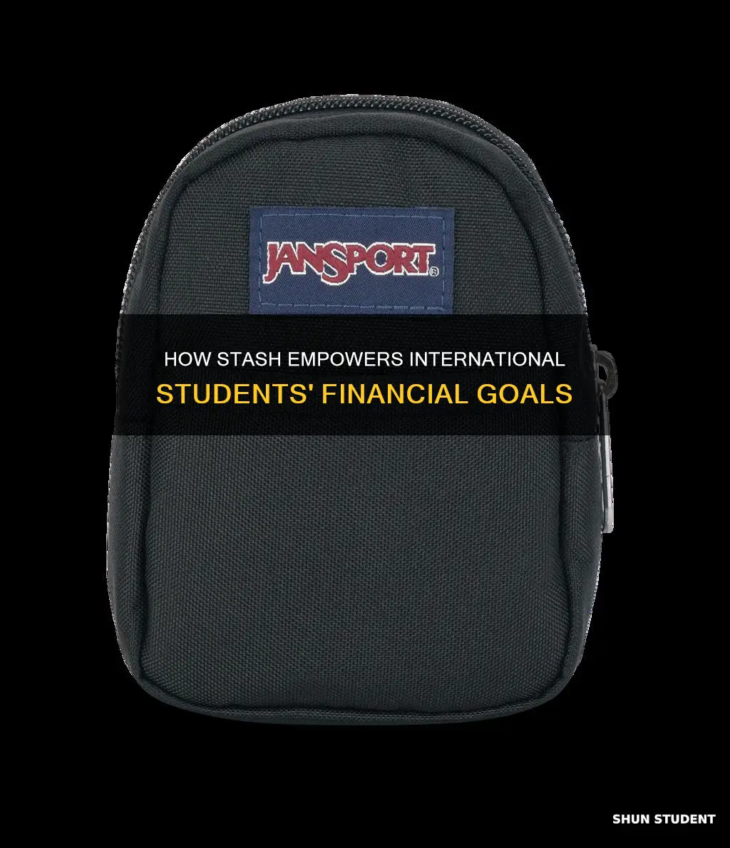 can you use stash as an international student