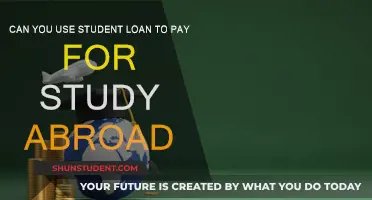 Student Loans: Funding Your Study Abroad Dream?
