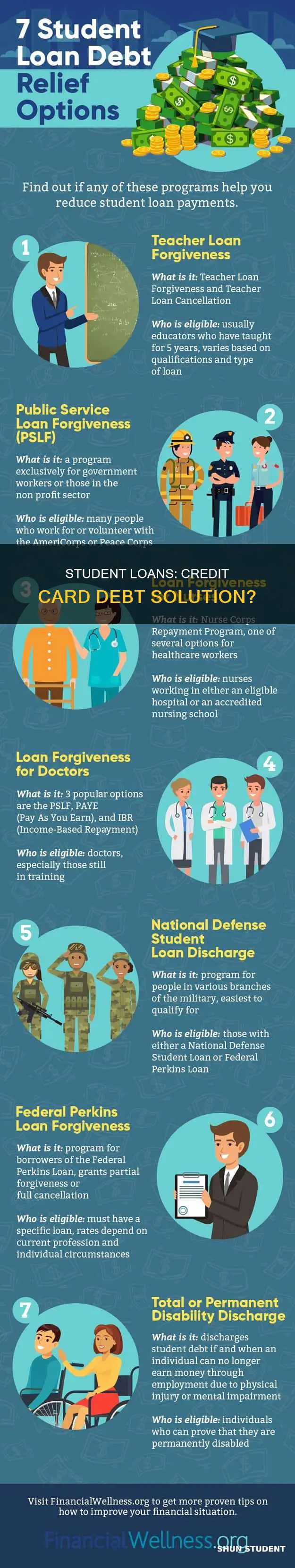 can you use student loans to pay off credit cards