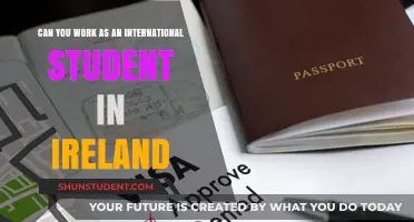 Working in Ireland: International Student Opportunities