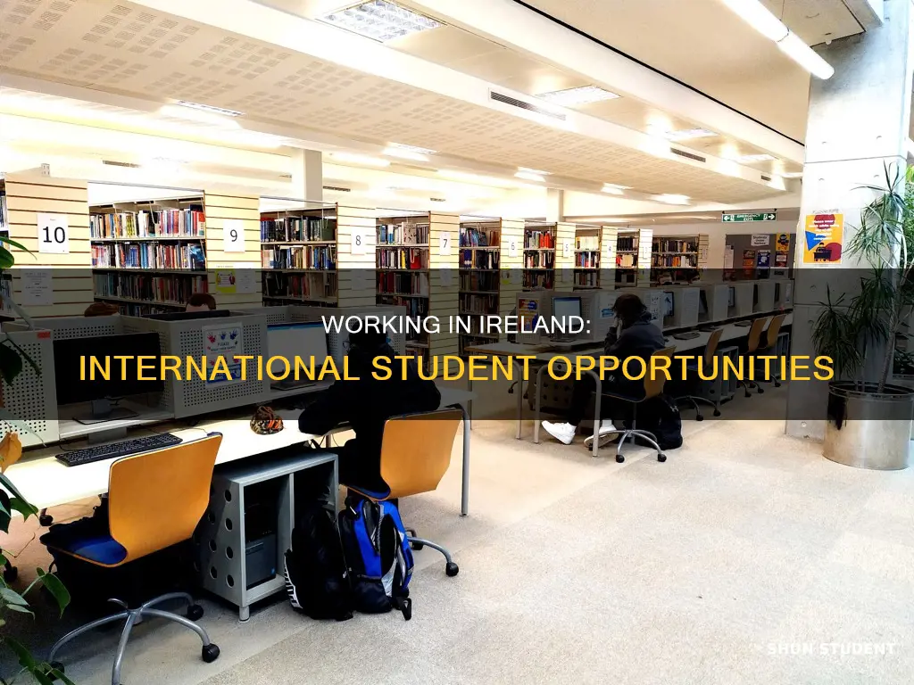 can you work as an international student in ireland