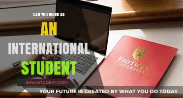Working as an International Student: Is It Possible?