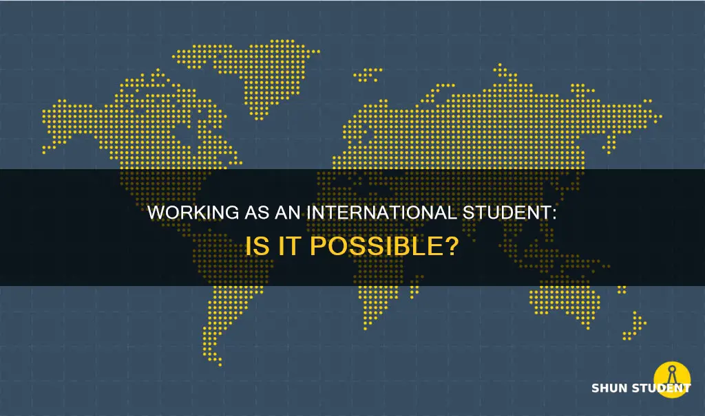 can you work as an international student