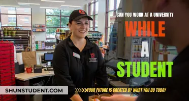 Working and Studying: How to Balance University Life