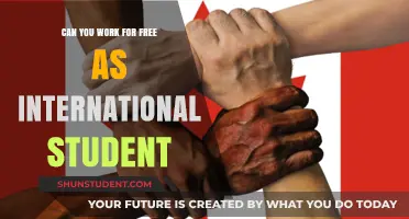 Working for Free as an International Student: Is it Legal?