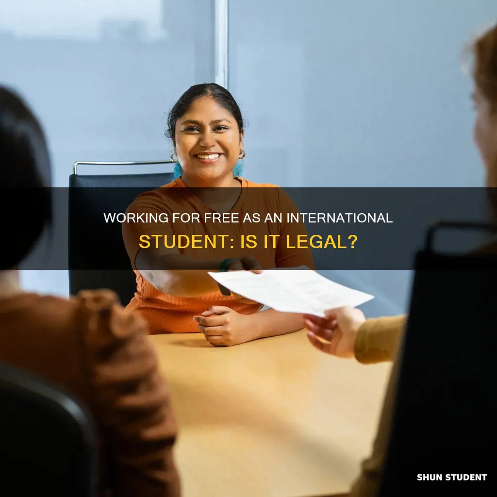 can you work for free as international student