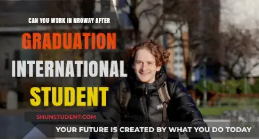 Working in Norway: Post-Study Options for International Grads