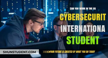 Cybersecurity Career Options for International Students in the US