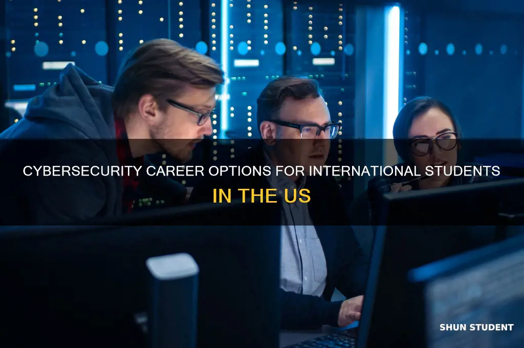 can you work in the us cybersecurity international student