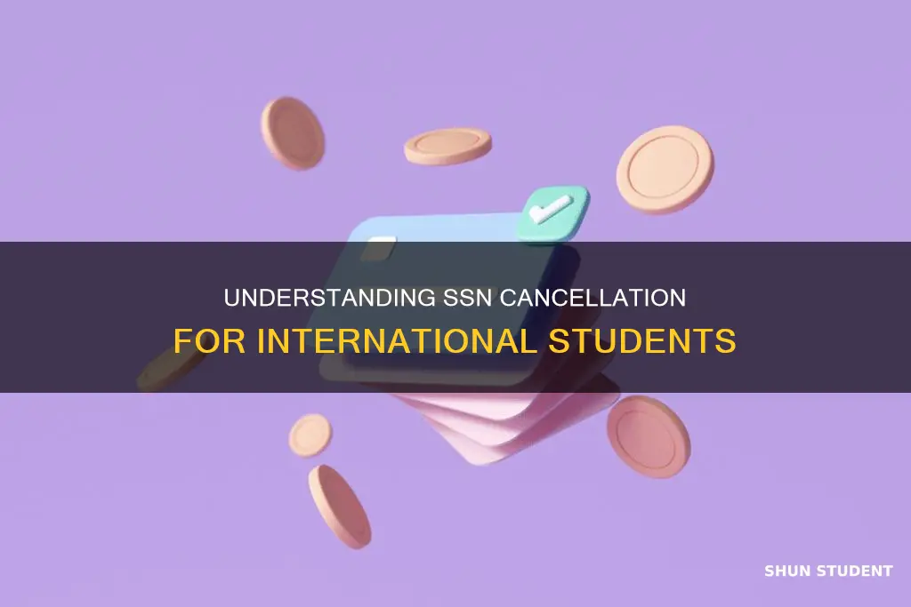 can your ssn be cancelled for international students