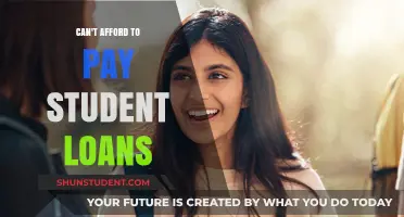 Student Debt: The Heavy Price of Education