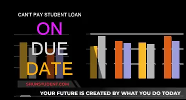 Student Loan Due Date: What If I Can't Pay?