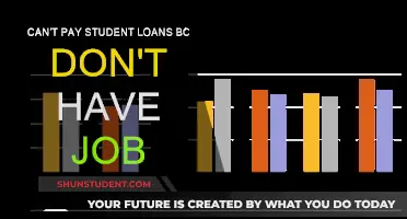 Jobless and in Debt: Navigating Student Loan Payments