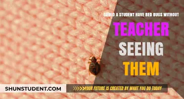 Can Students Hide Bed Bugs from Teachers in School?