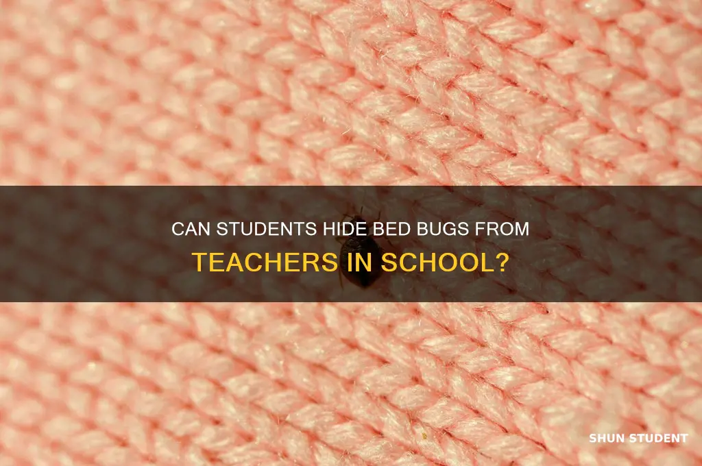 could a student have bed bugs without teacher seeing them