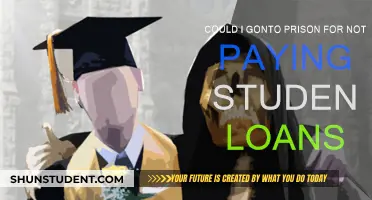 Student Loans: Prison Sentence for Non-Payment?