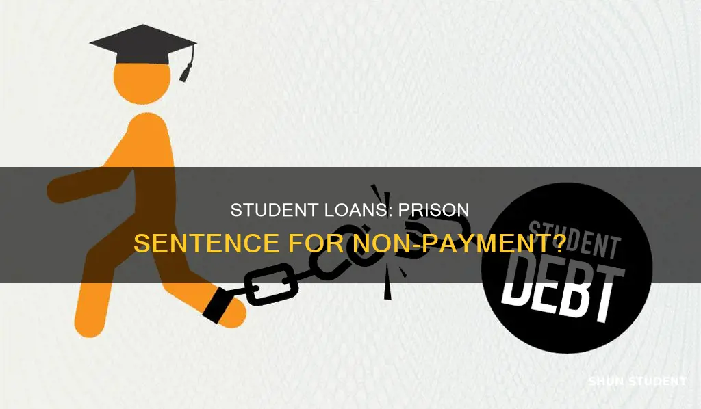 could i gonto prison for not paying student loans
