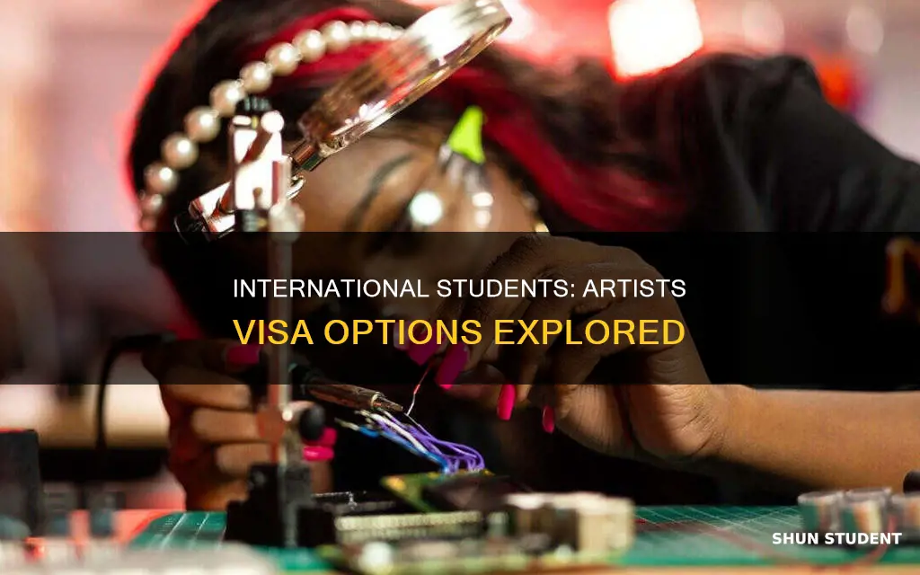 could international students get a visa as an artist