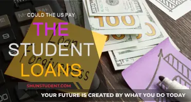 US Student Loans: Who Pays the Price?