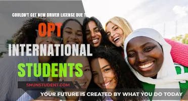 International Students: Driver's License Woes
