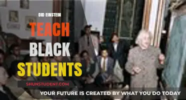 Einstein's Legacy: Did He Educate Black Students in America?