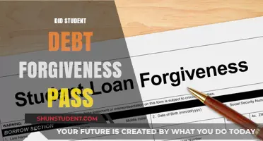 Student Debt Forgiveness Update: Did the Plan Pass?