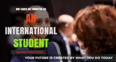 How International Students File Taxes with TurboTax
