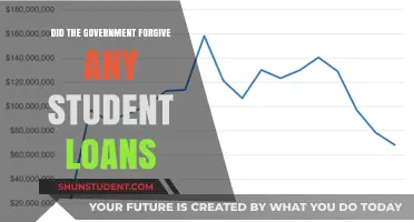 Government Student Loan Forgiveness: What Borrowers Need to Know Now