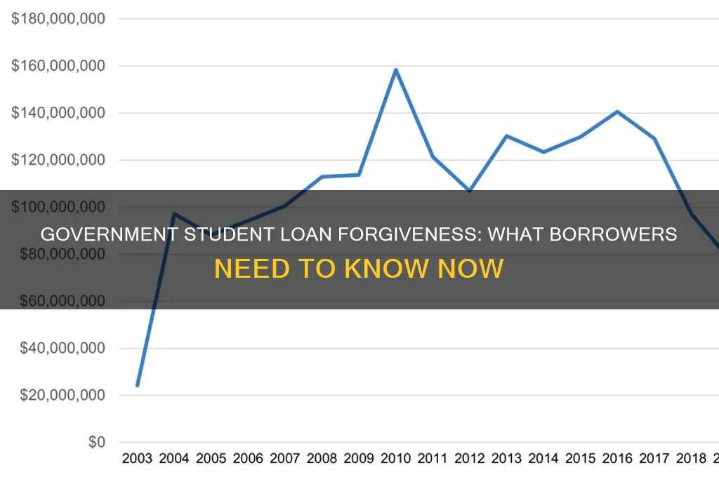 did the government forgive any student loans