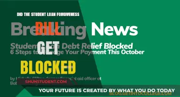 Student Loan Forgiveness Bill Blocked: What Does This Mean?