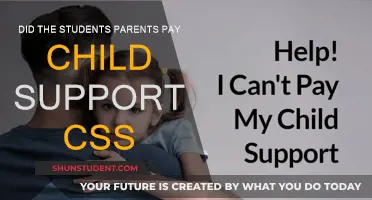 Child Support: Who Pays and Why?