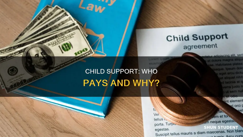 did the students parents pay child support css