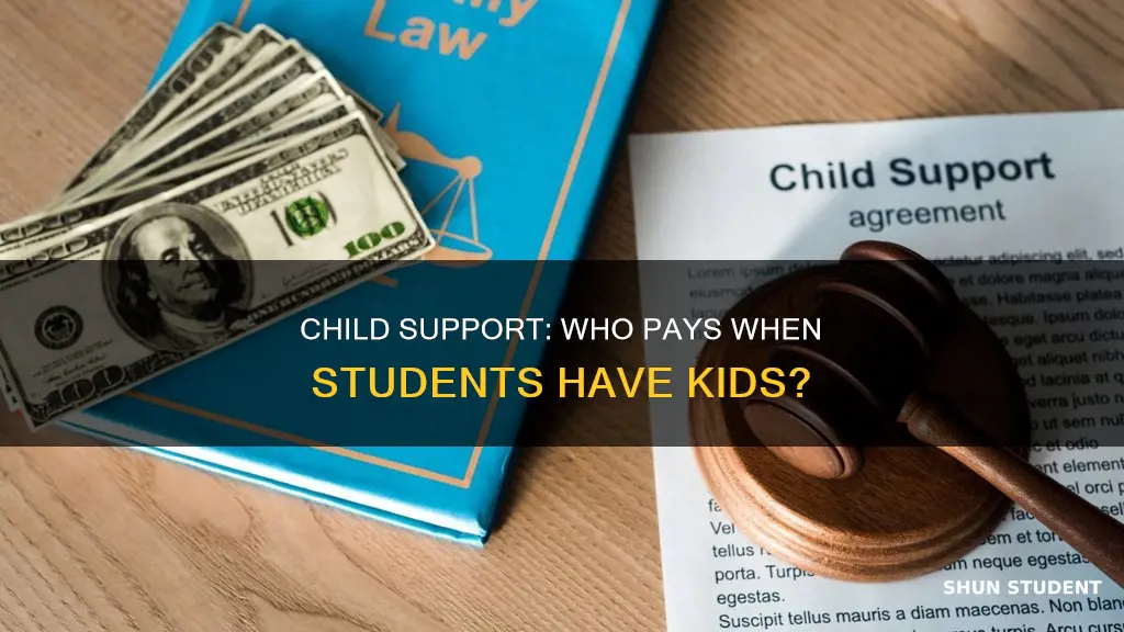 did the students parents pay child support