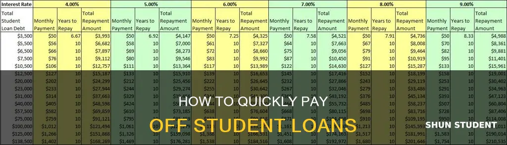 did you pay off student loans faster