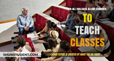 Can Students Teach Classes? Exploring College Policies and Opportunities