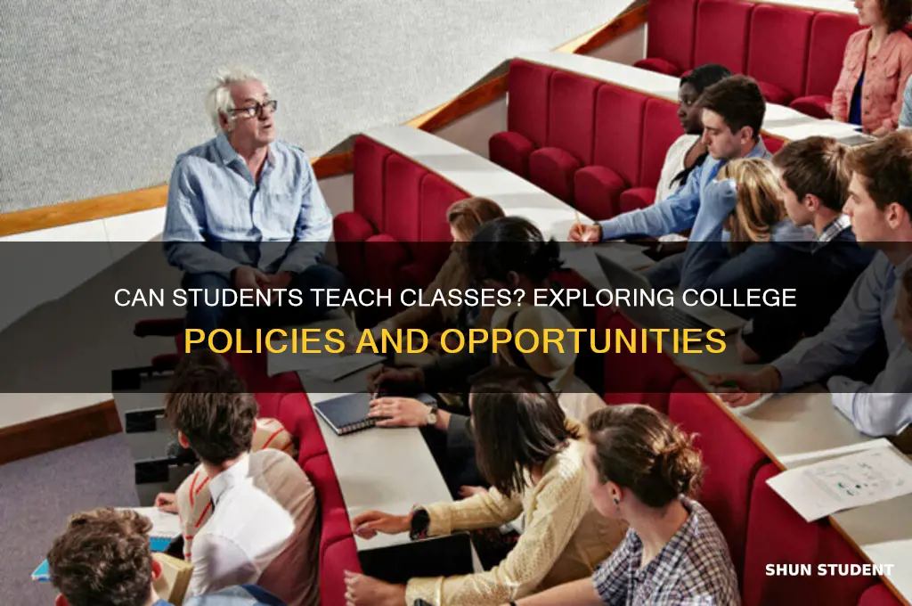do all colleges allow students to teach classes