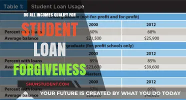 Does Your Income Qualify for Student Loan Forgiveness? Key Details