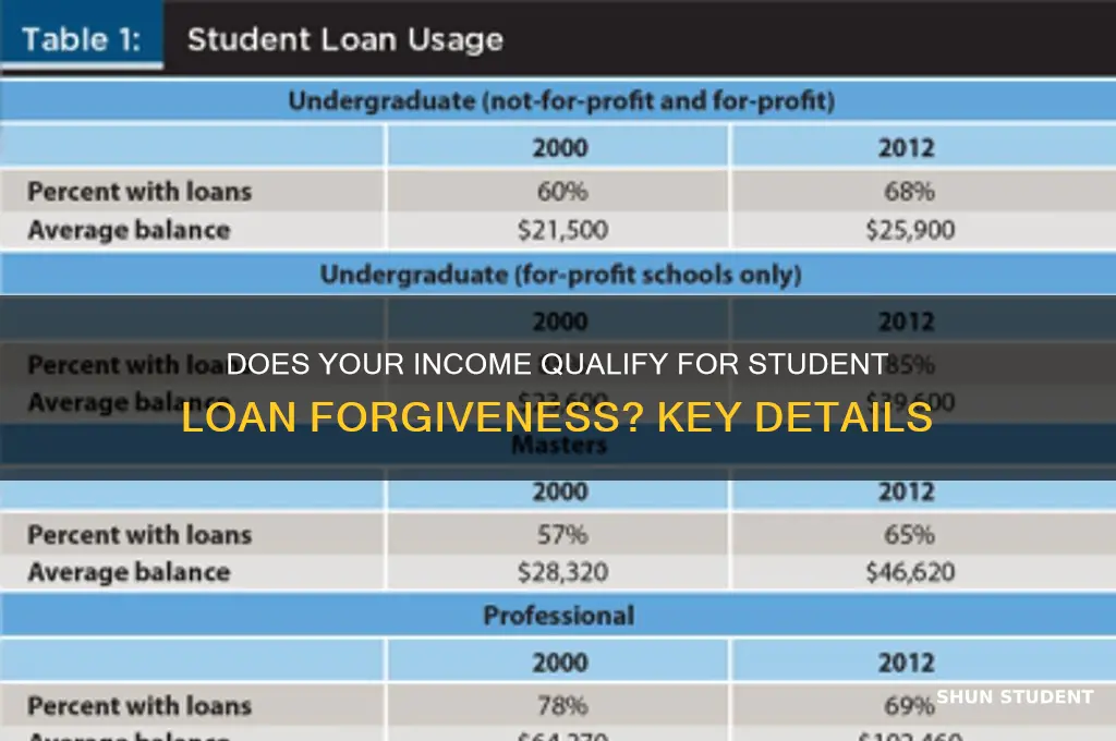 do all incomes qualify for student loan forgiveness