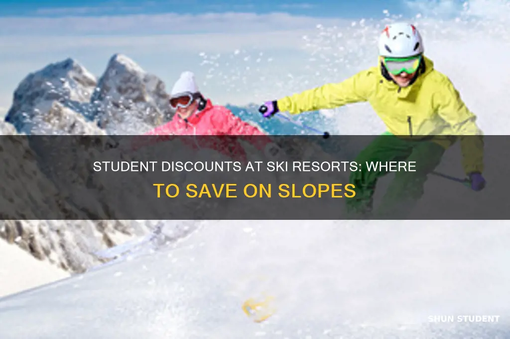 do any ski resorts offer student discounts