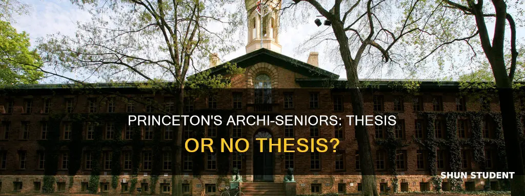 do architecture students at princeton university write a senior thesis