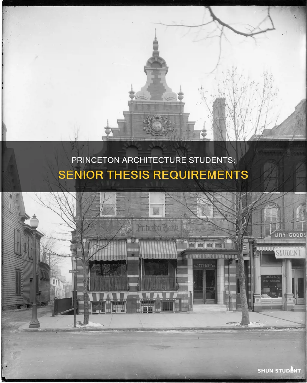 do architecture students at princeton university write a senior thesis